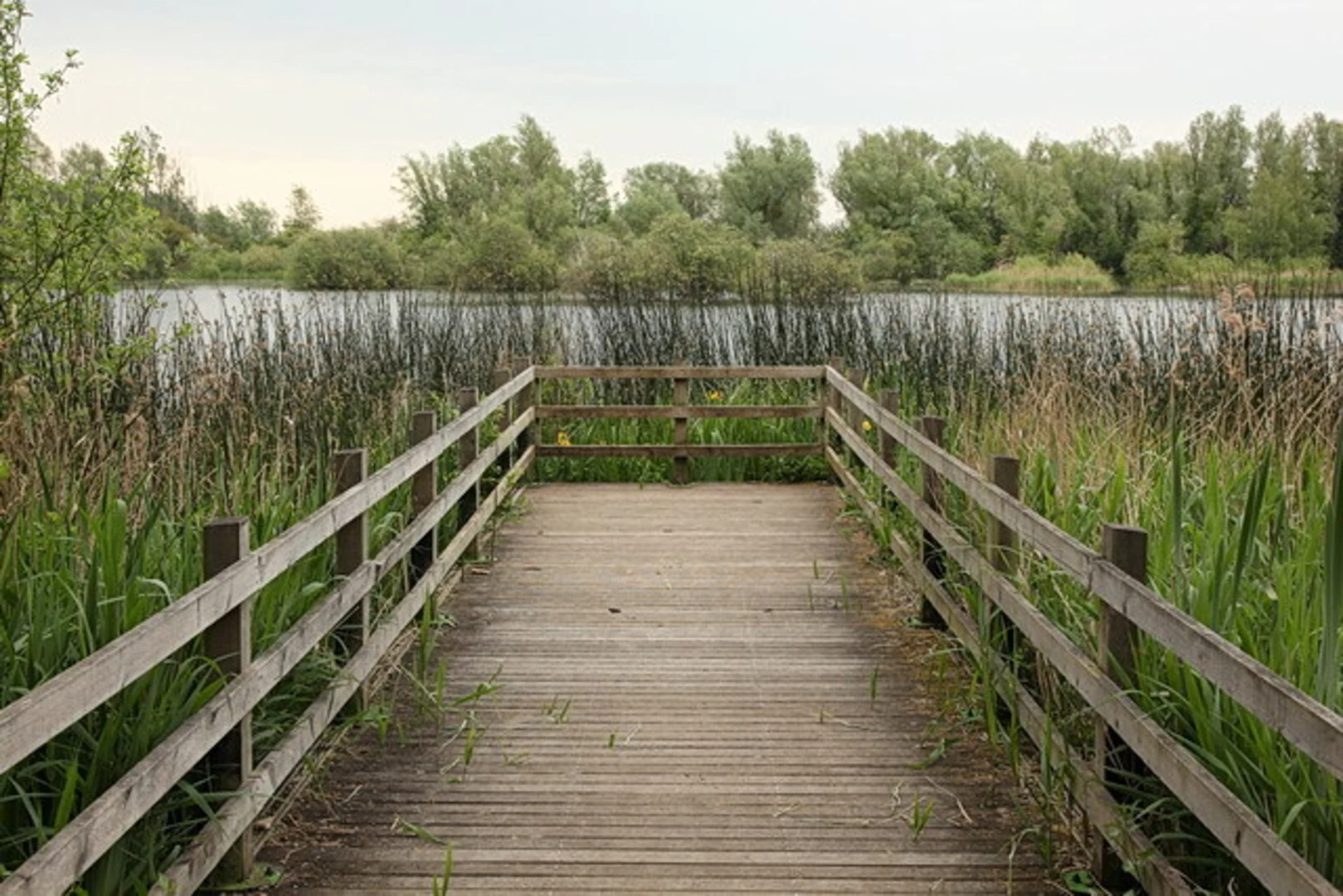 An image depicting the trail Milton Country Park Loop and its surrounding area.