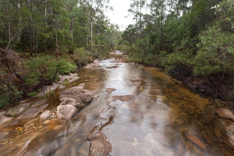 Murrumbooee Cascades Track