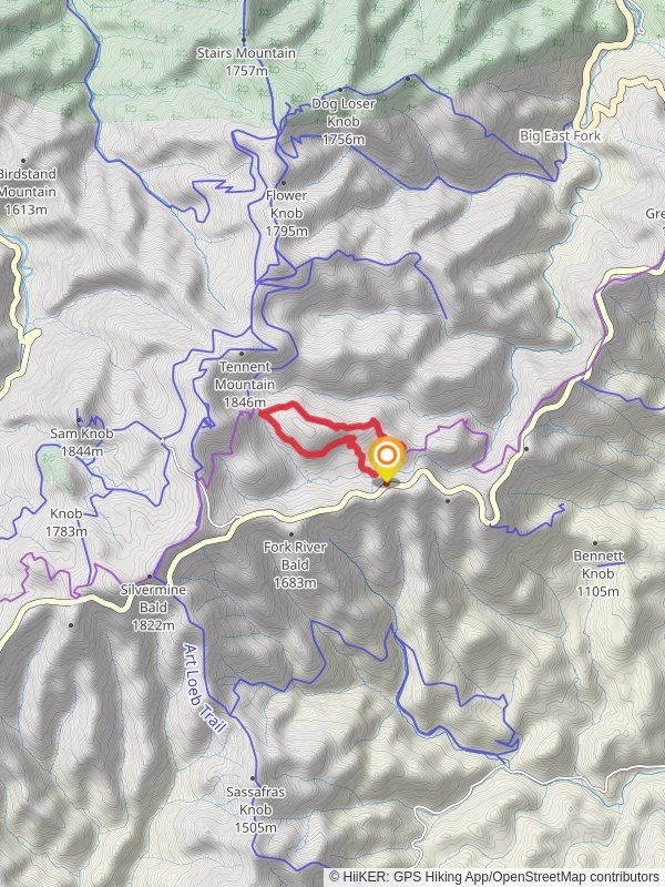 Graveyard Fields, Graveyard Ridge and Mountains-to-Sea Loop Trail