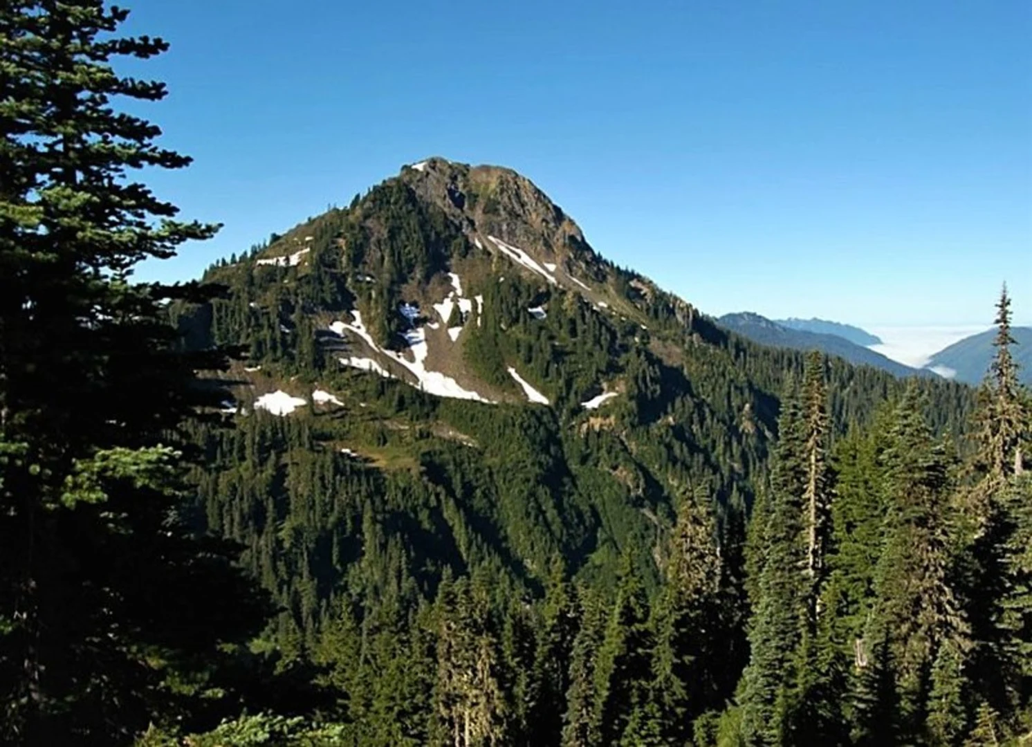 An image depicting the trail East Fork Quinault Trail and its surrounding area.