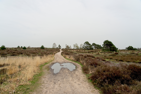 De Dieken via Koordes Weg and Koeweide Weg
