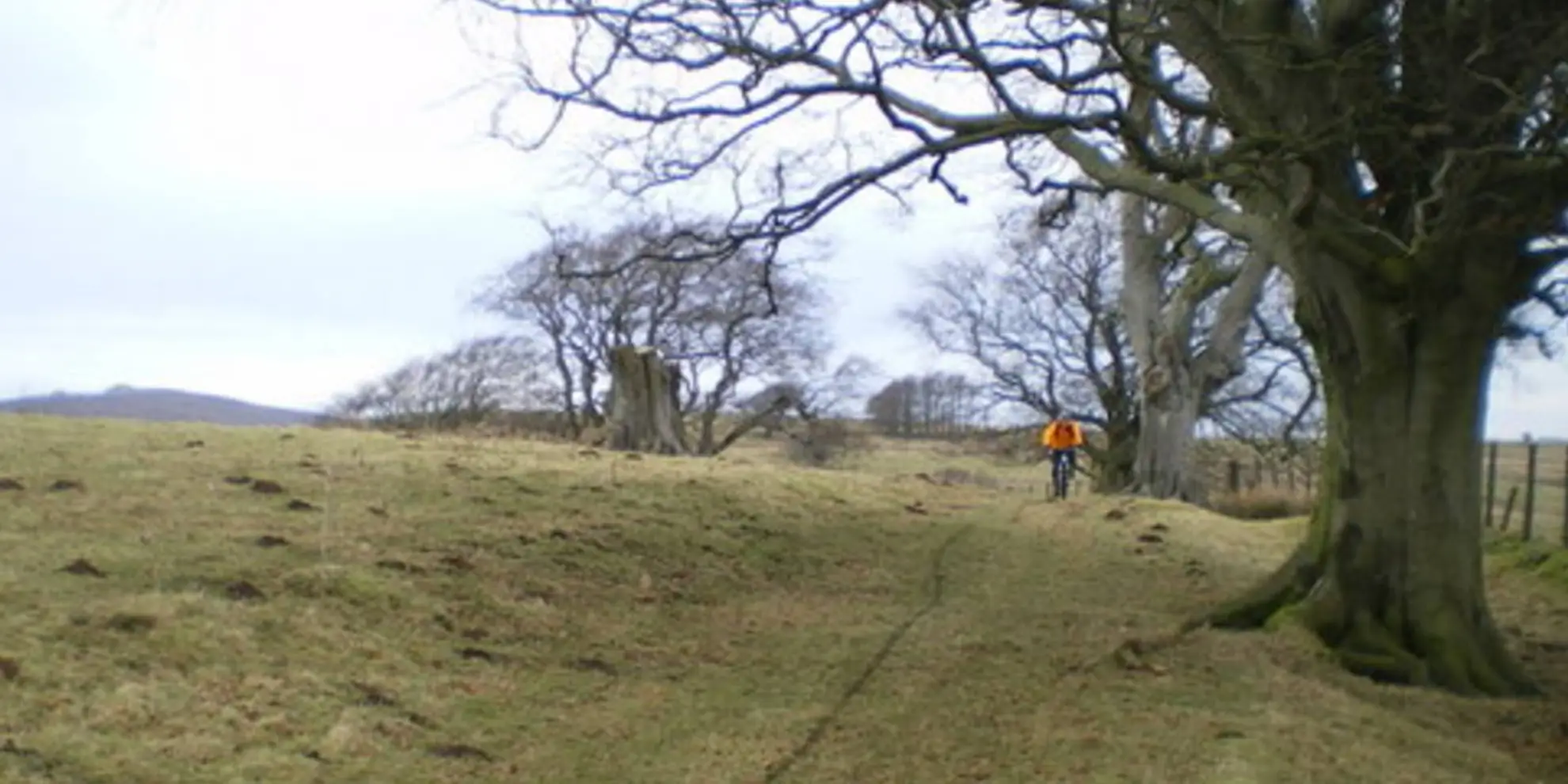 An image depicting the trail Linley Hill and Linley from The Bog and its surrounding area.