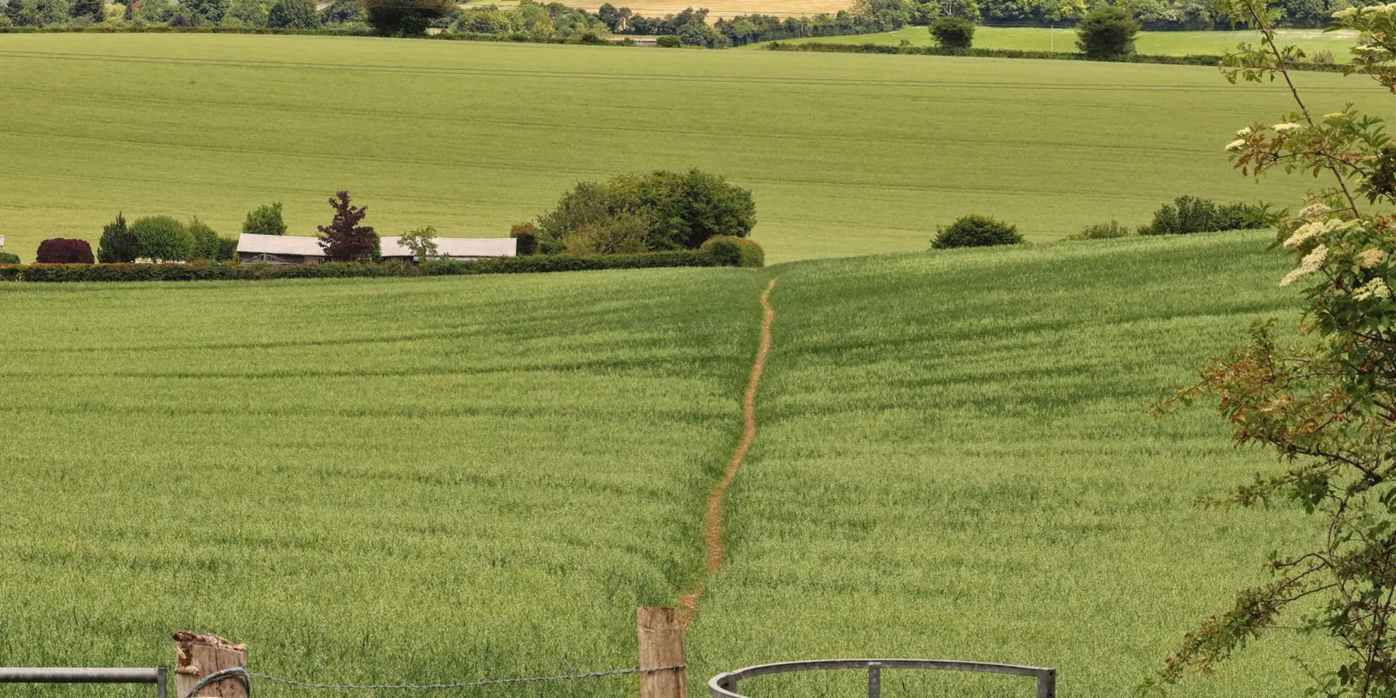 An image depicting the trail Saunderton Circular via Bledlow Ridge and its surrounding area.