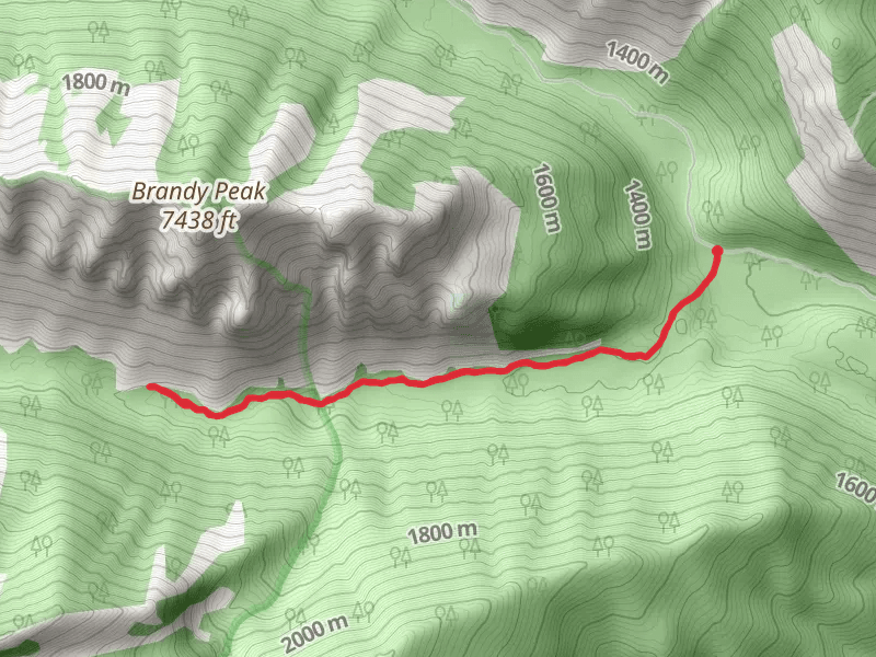 Lower South Fork Lost Horse Trail