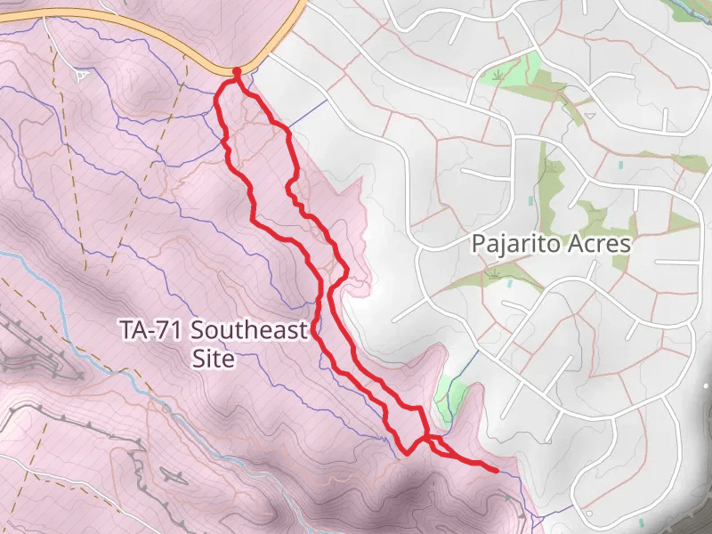 Potrillo Canyon Loop