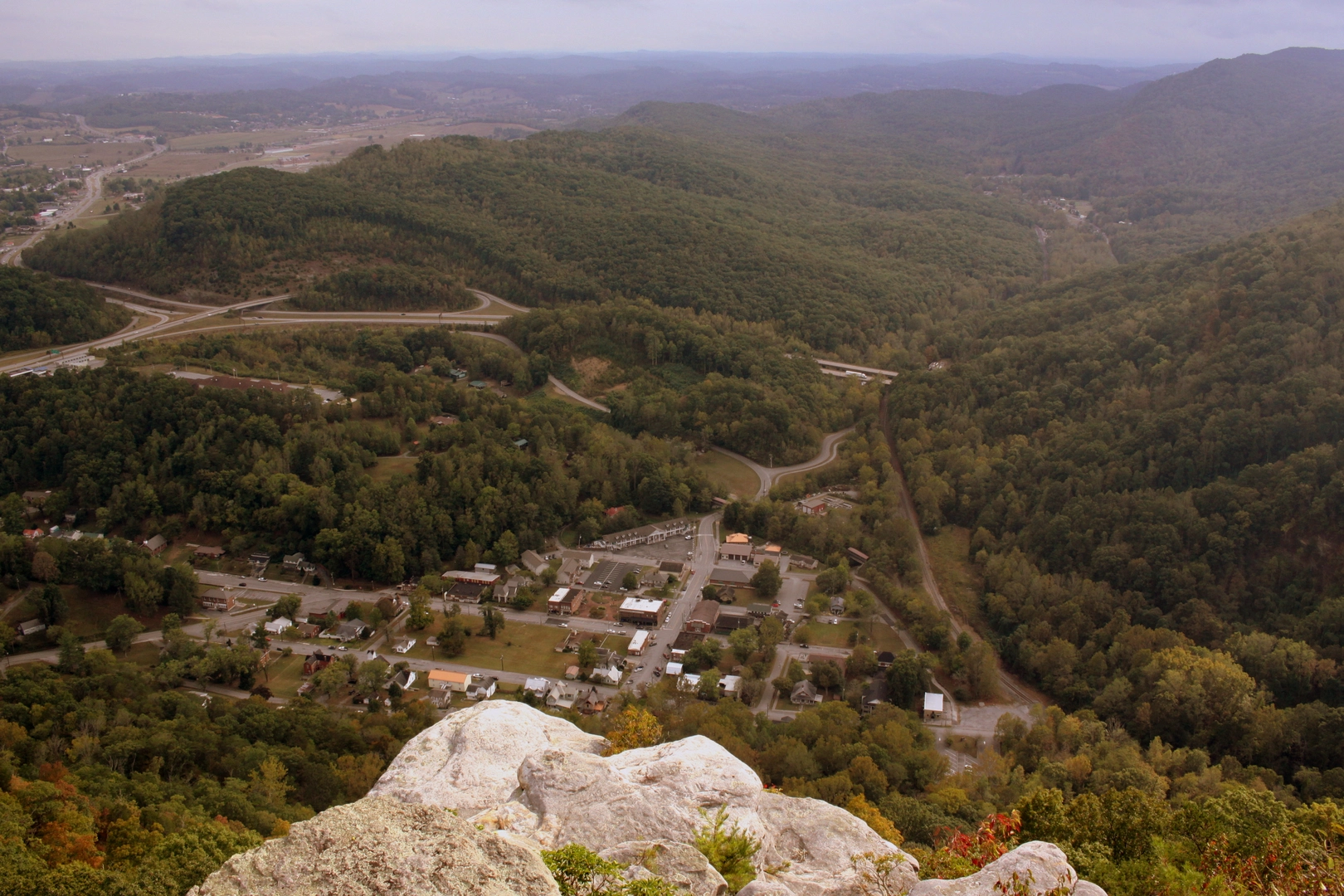 An image depicting the trail Wildflower Walk and its surrounding area.