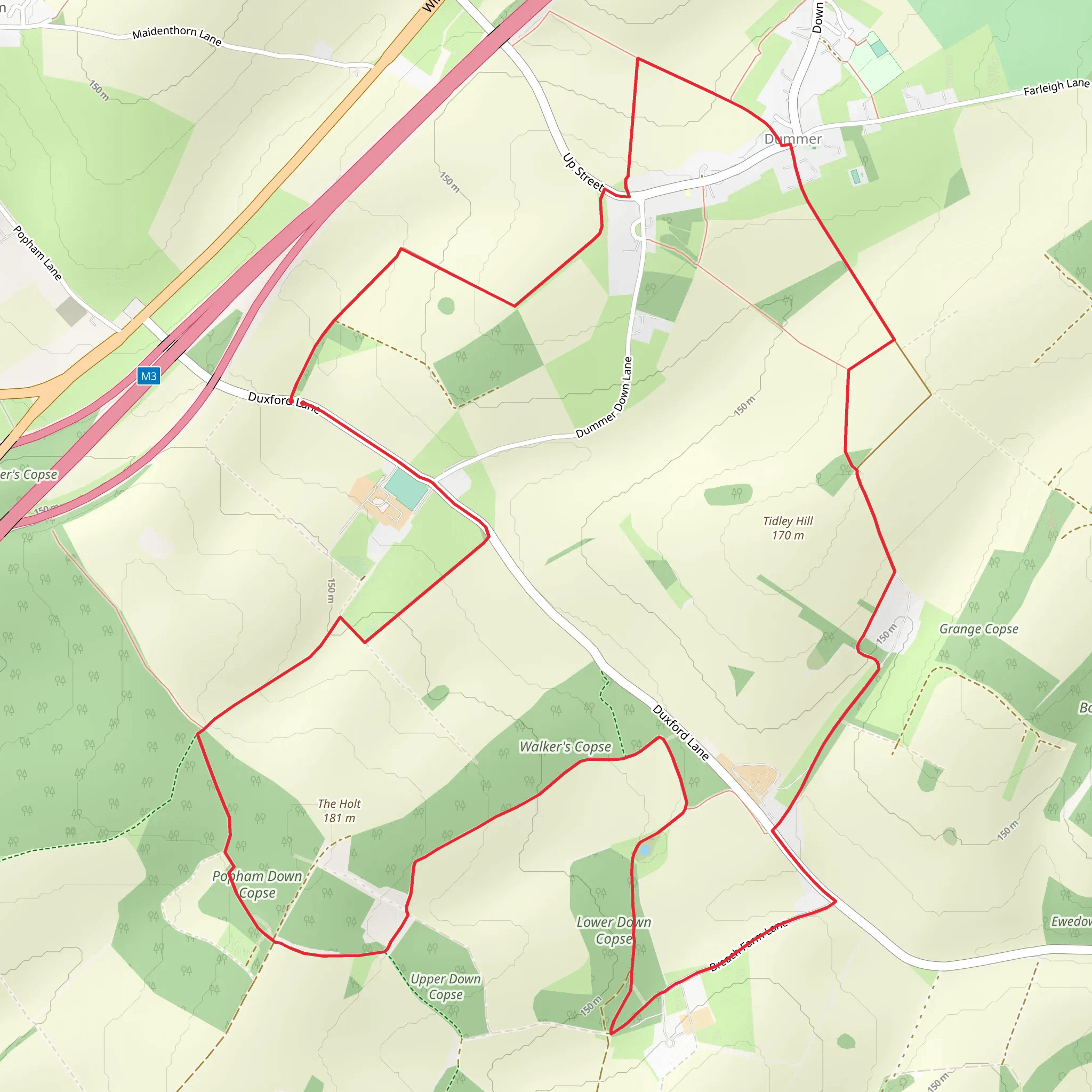 Walker's Copse and Popham Down Copse Loop mobile static map