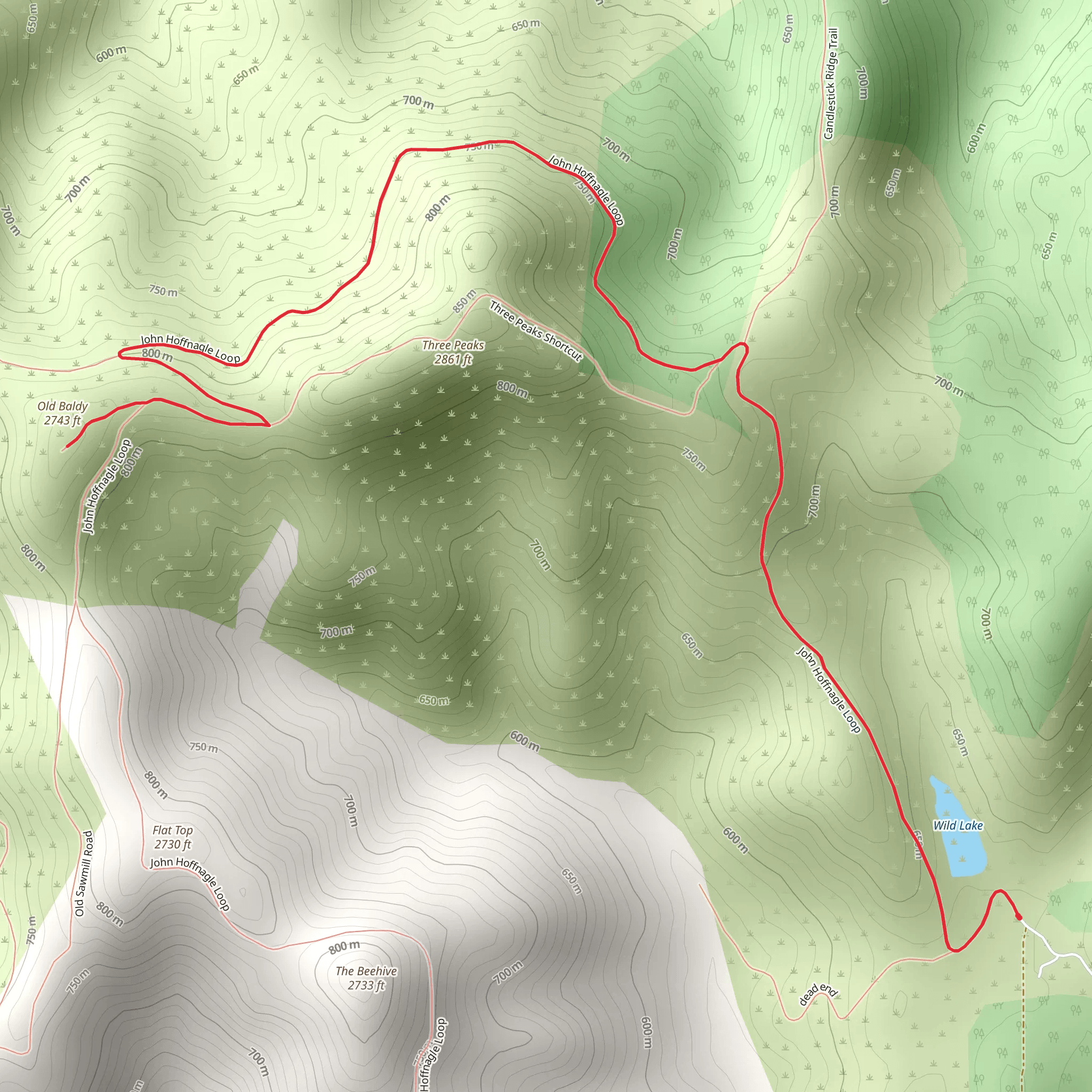Old Baldy via John Hoffnagle Loop mobile static map