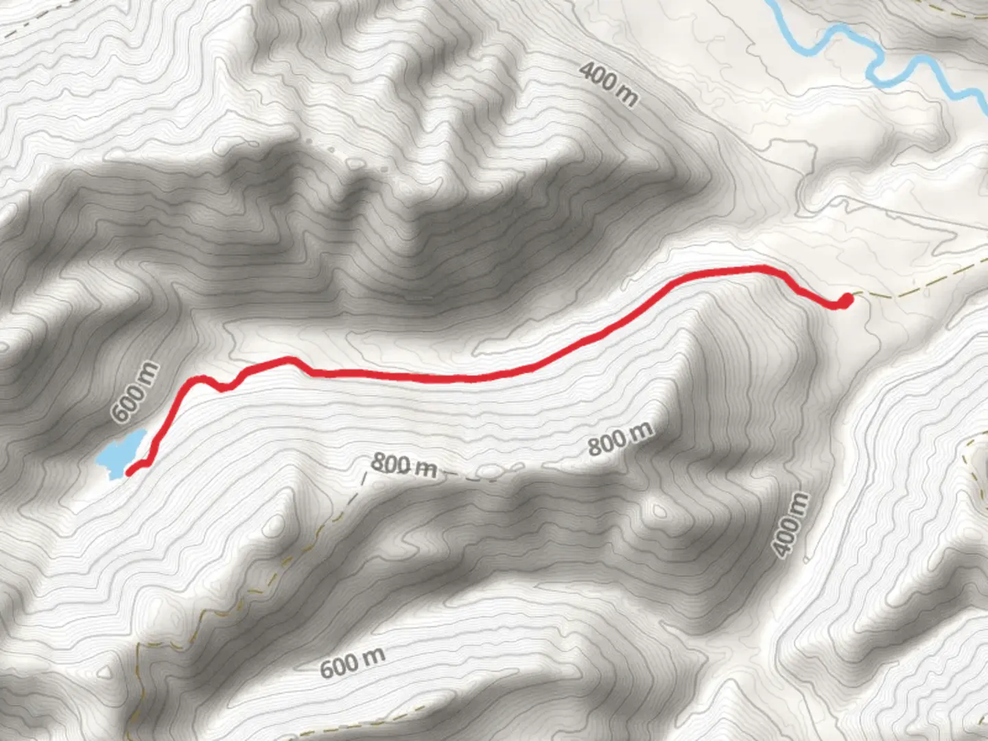 An image depicting the trail Pine Lake Trail and its surrounding area.