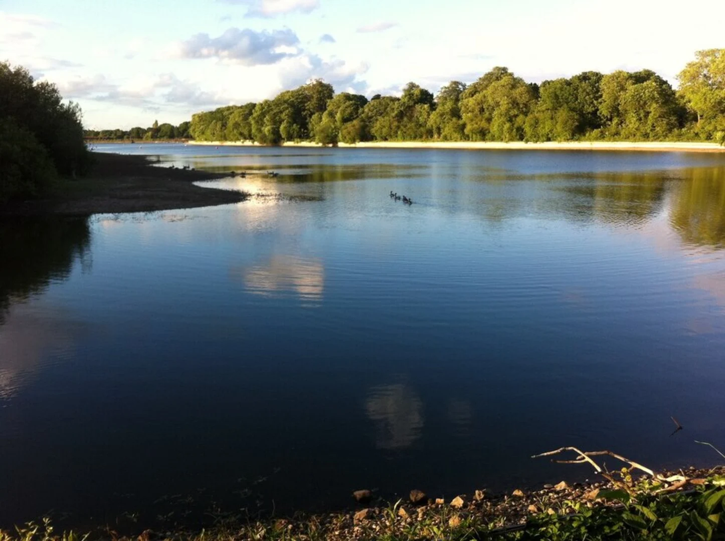 An image depicting the trail Earlswood Lakes and its surrounding area.