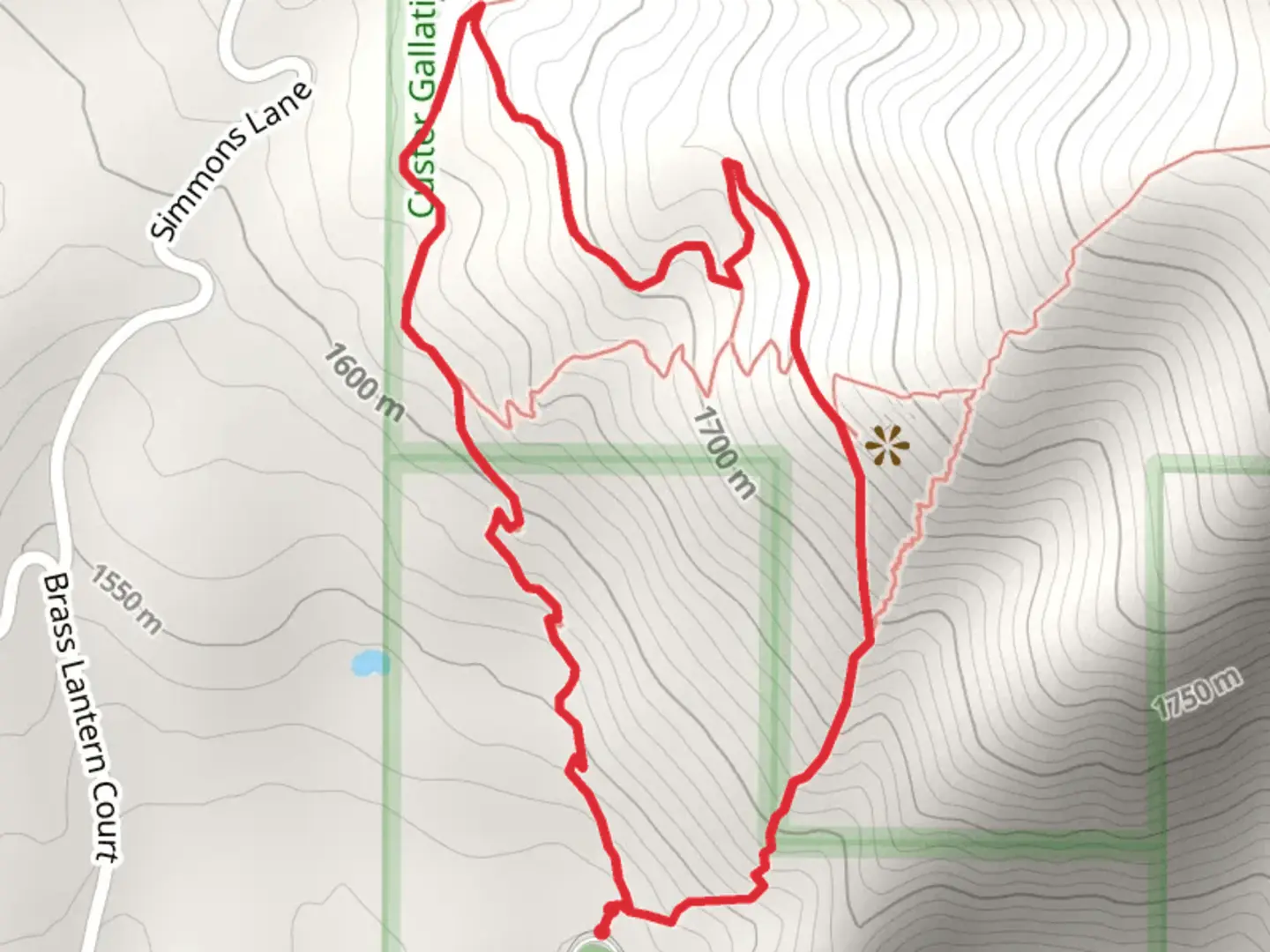 An image depicting the trail College M Steep Trail and its surrounding area.