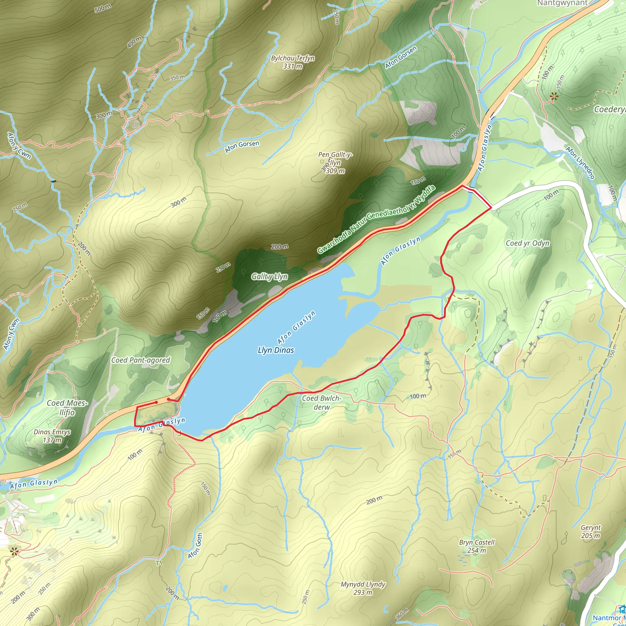 Llyn Dinas Loop mobile static map