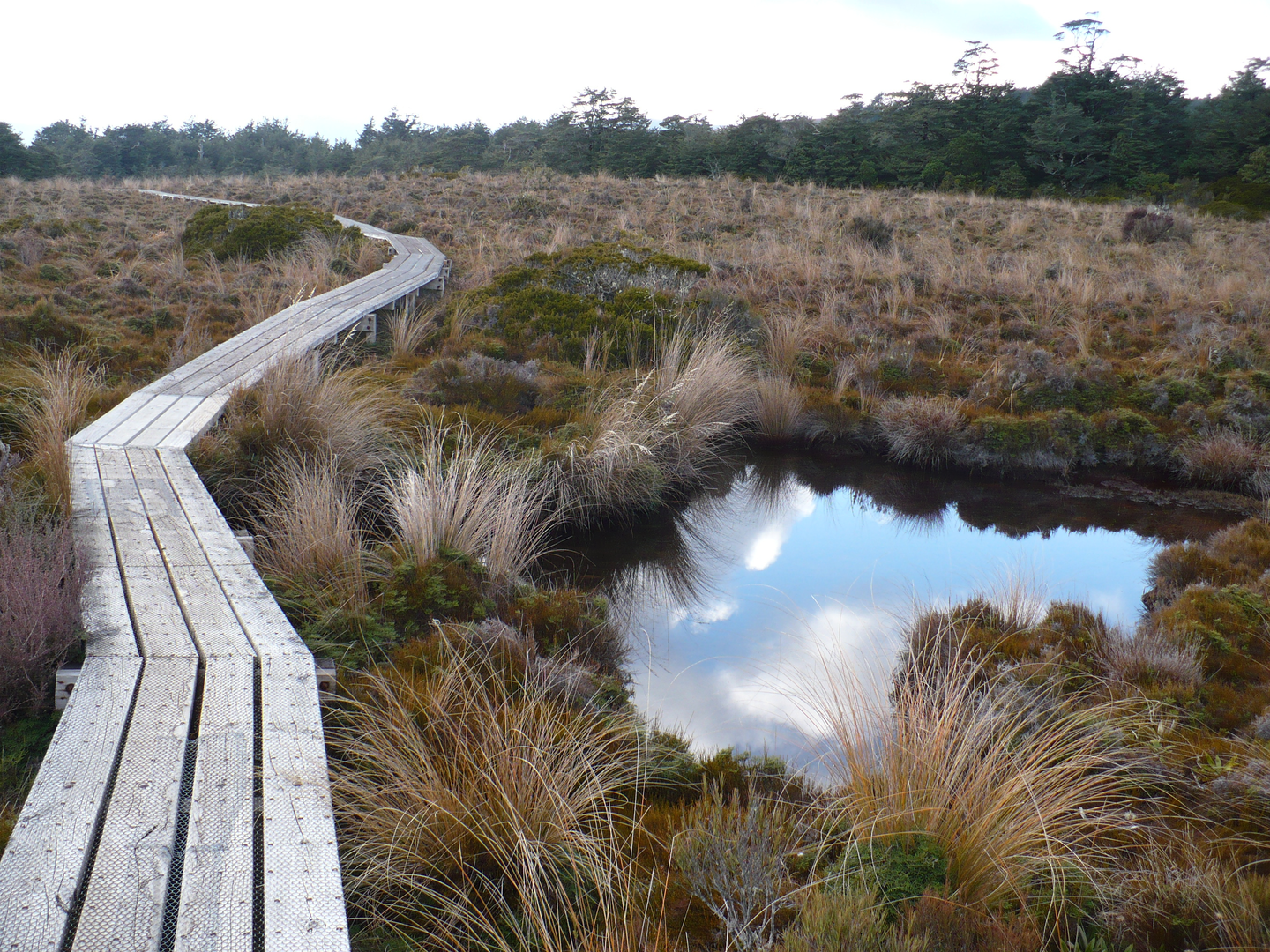 An image depicting the trail Silica Rapids Walk and its surrounding area.