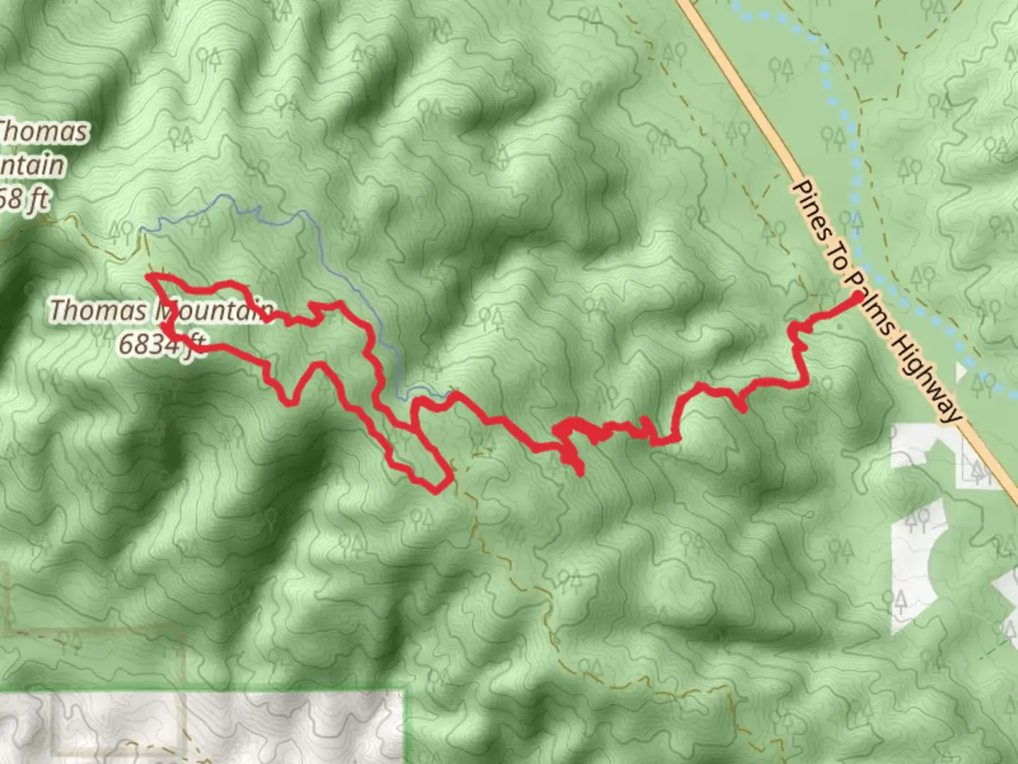An image depicting the trail Thomas Mountain Yellow Post 3, 6, 8 Loop via Ramona Trail and its surrounding area.