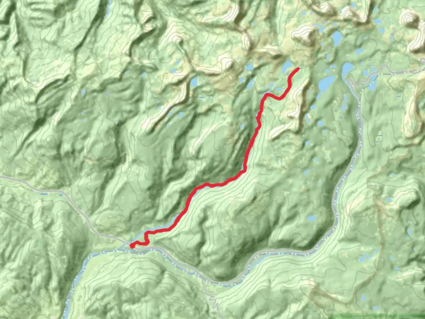 An image depicting the trail North Fork Provo River Trail and its surrounding area.