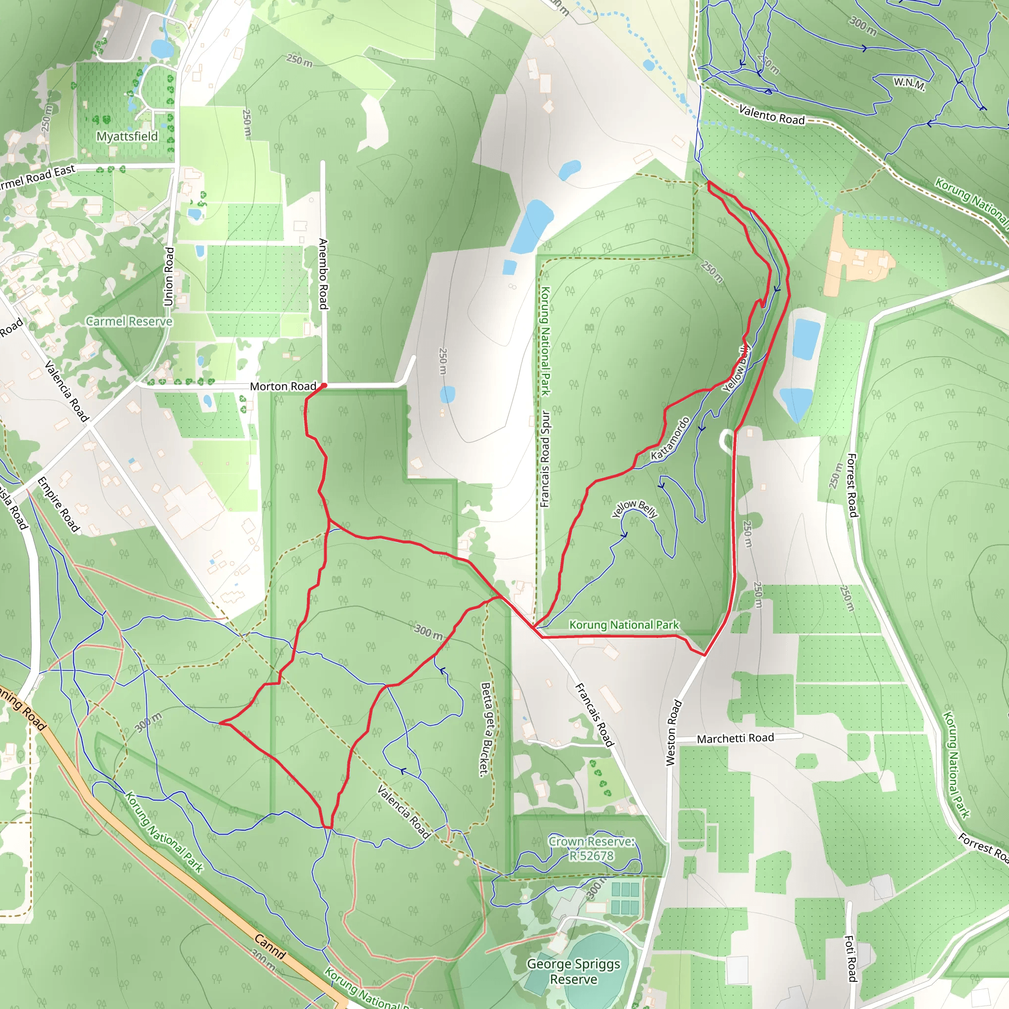 Carmel Walk mobile static map