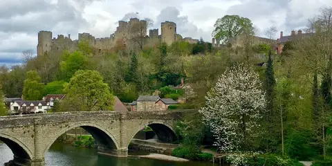 An image depicting the trail Wild Edric's Way and its surrounding area.