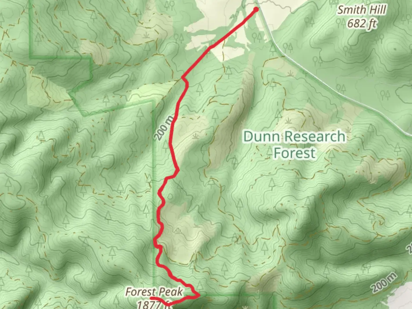 An image depicting the trail Forest Peak from Tampico Road and its surrounding area.