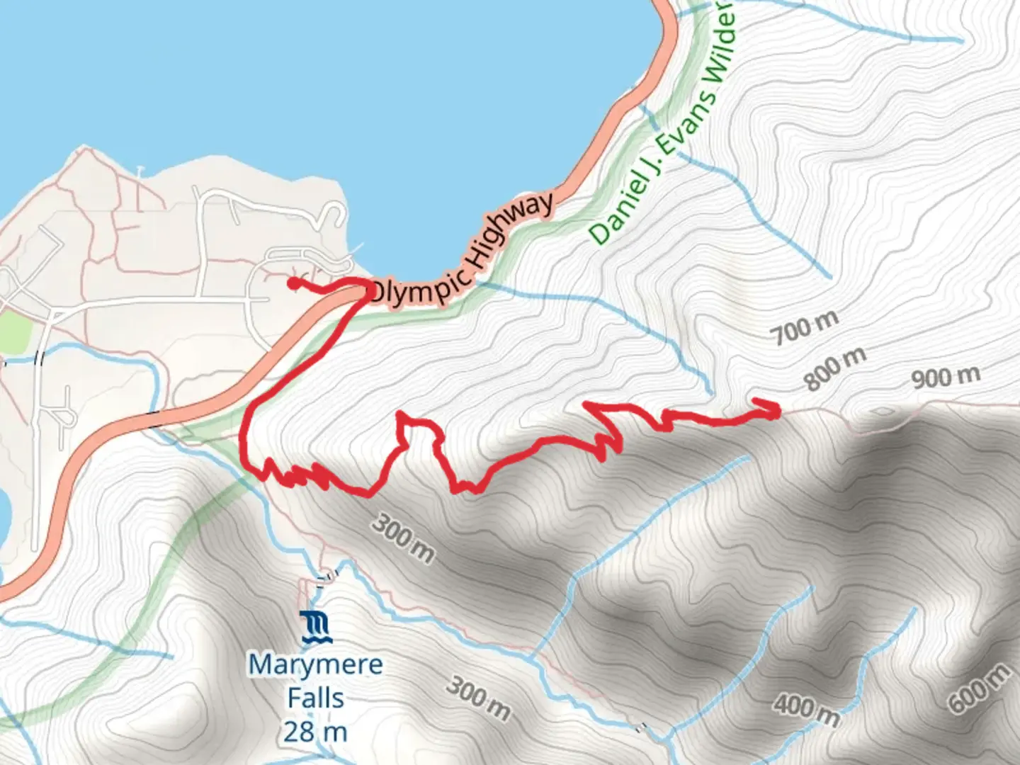 An image depicting the trail Marymere Falls Nature Trail and Storm King Trail and its surrounding area.