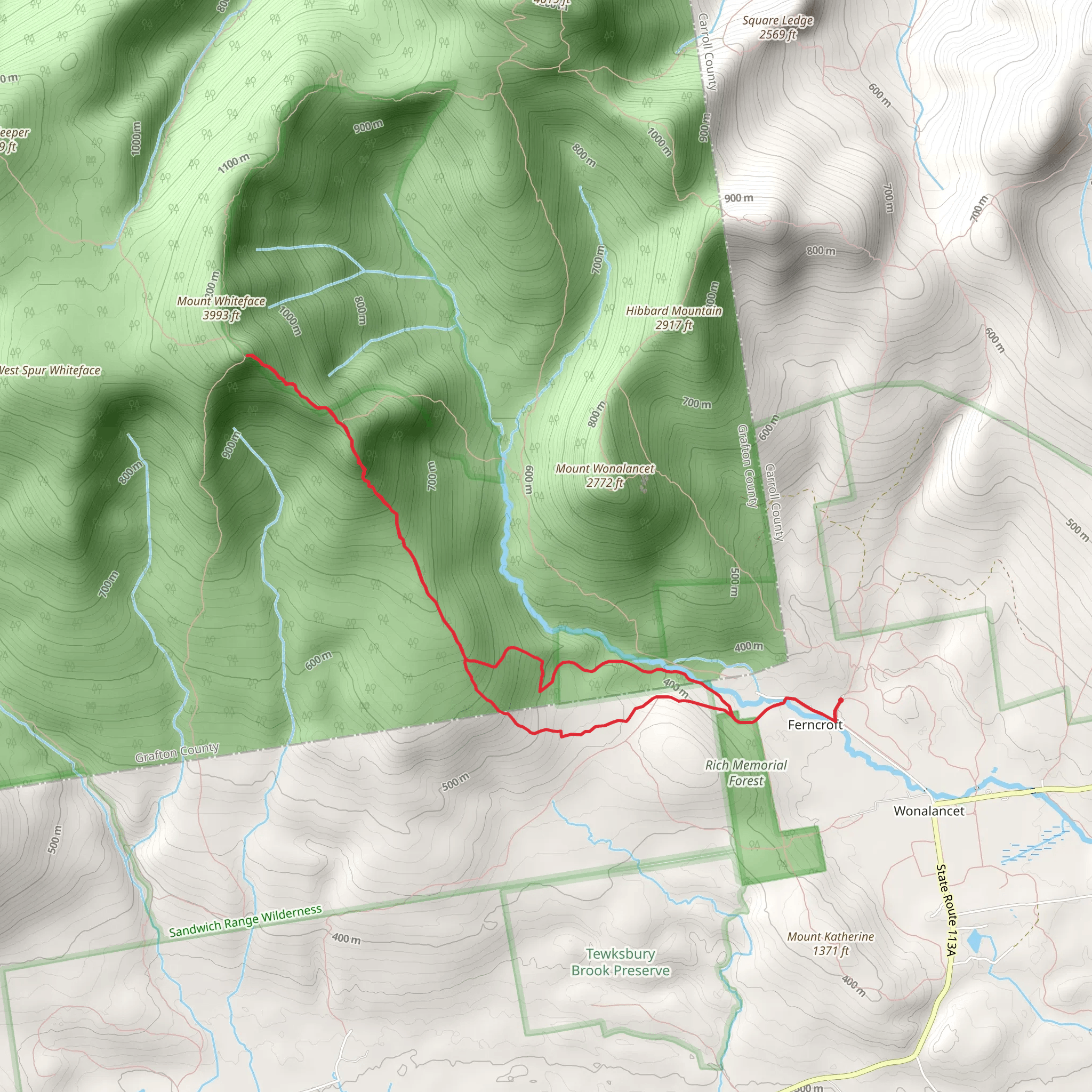 Blueberry Ledge Trail mobile static map