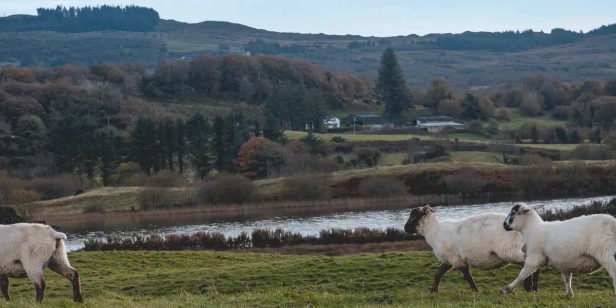 Gougane Barra - Sli Ghaorthaidh