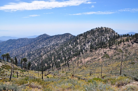 South Mount Hawkins Loop Trail