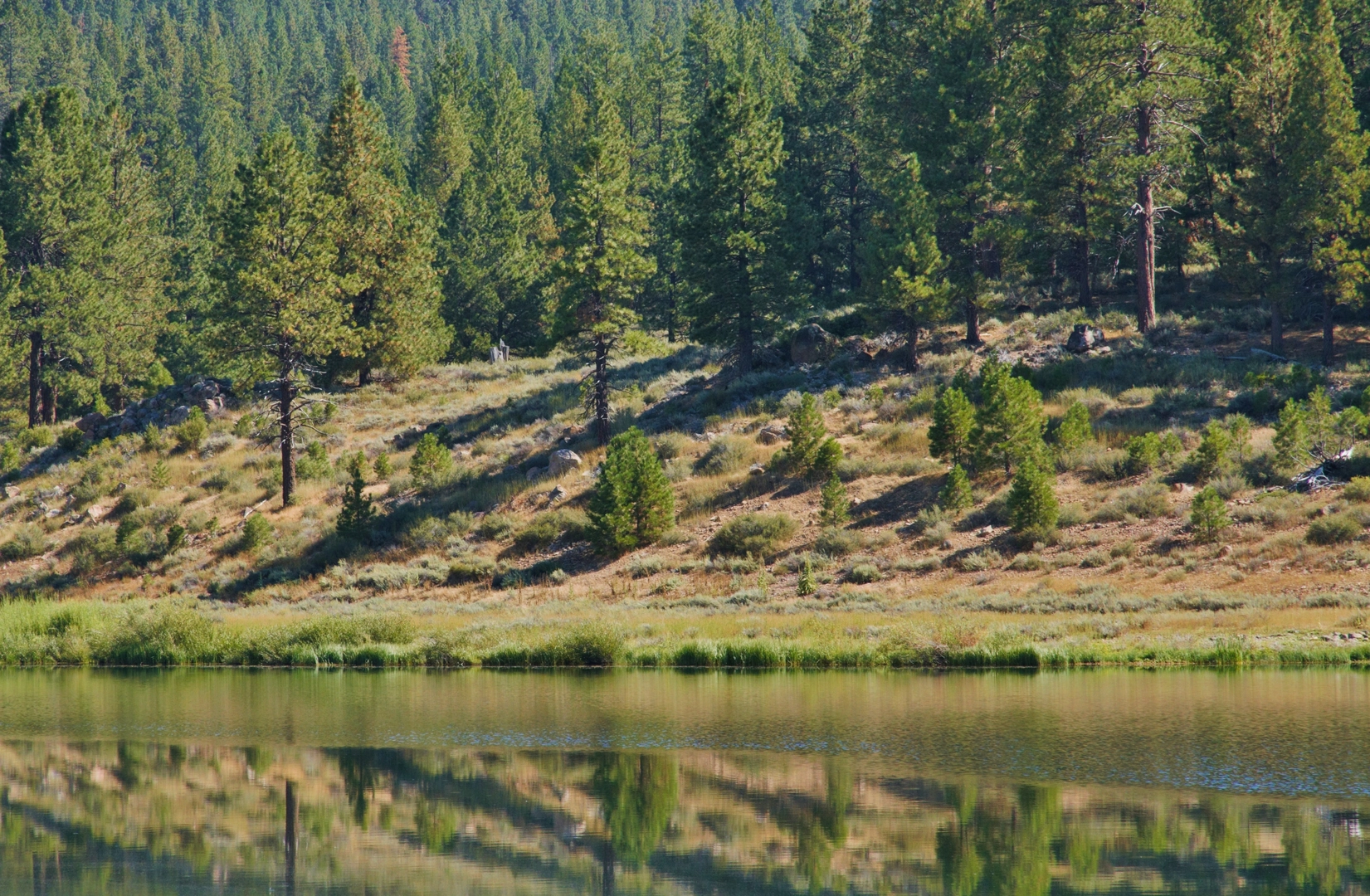 An image depicting the trail Erika's Loop Trail and its surrounding area.
