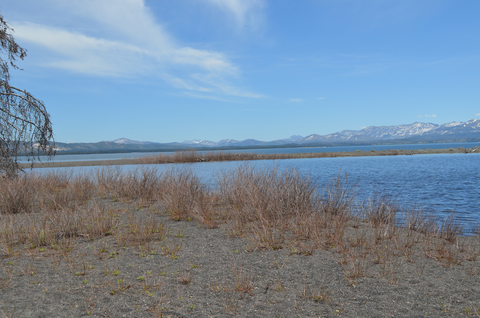 An image depicting the trail Pelican Cone via Pelican Valley Trail and its surrounding area.