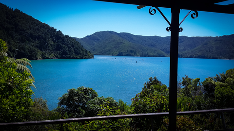 Okiwi Bay Lookout Walk