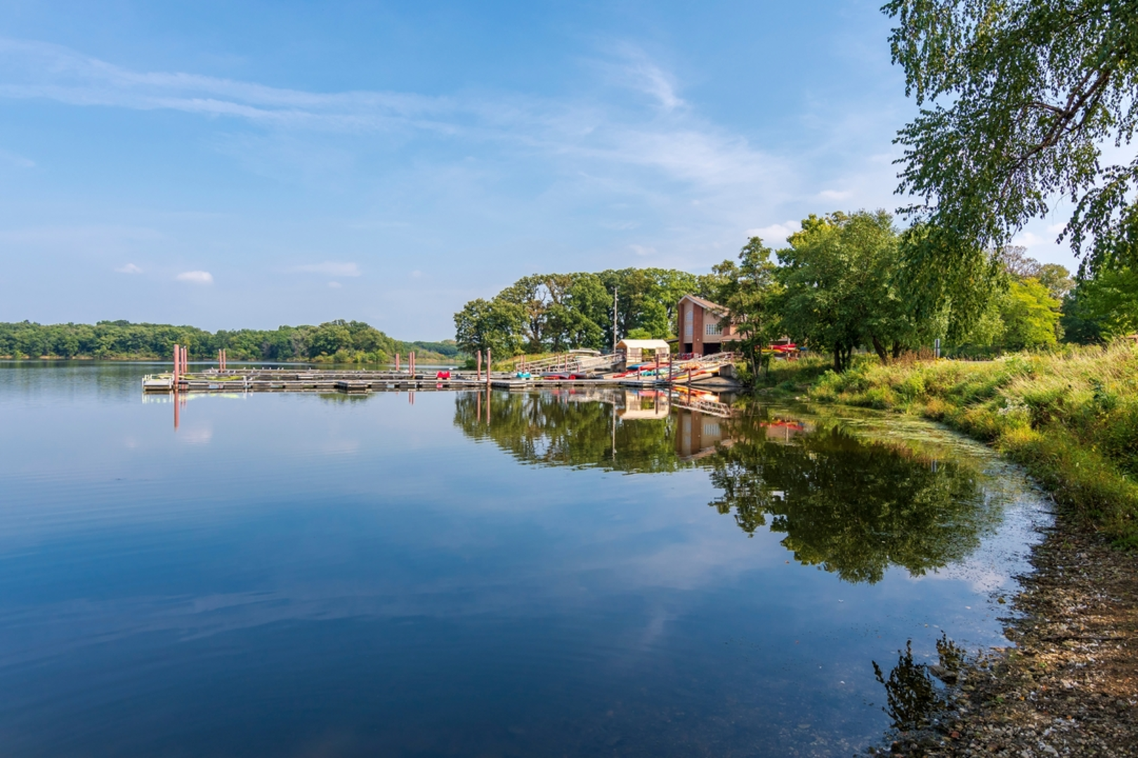 An image depicting the trail Busse Lake - Busse Forest Trail and its surrounding area.