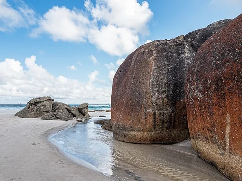 An image depicting the trail Tidal River to Squeaky Beach Walk and its surrounding area.