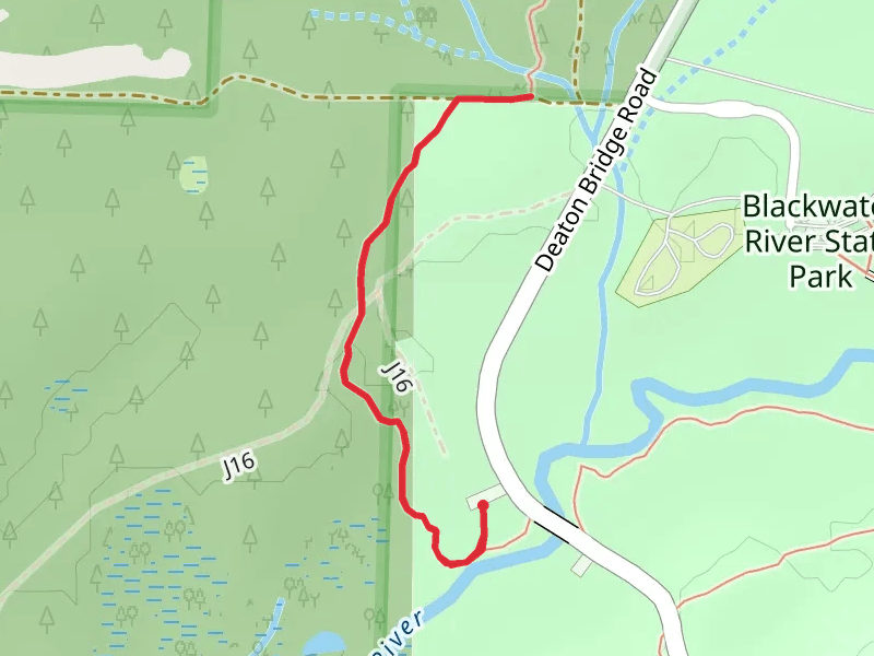 Juniper Creek Trail Out and Back