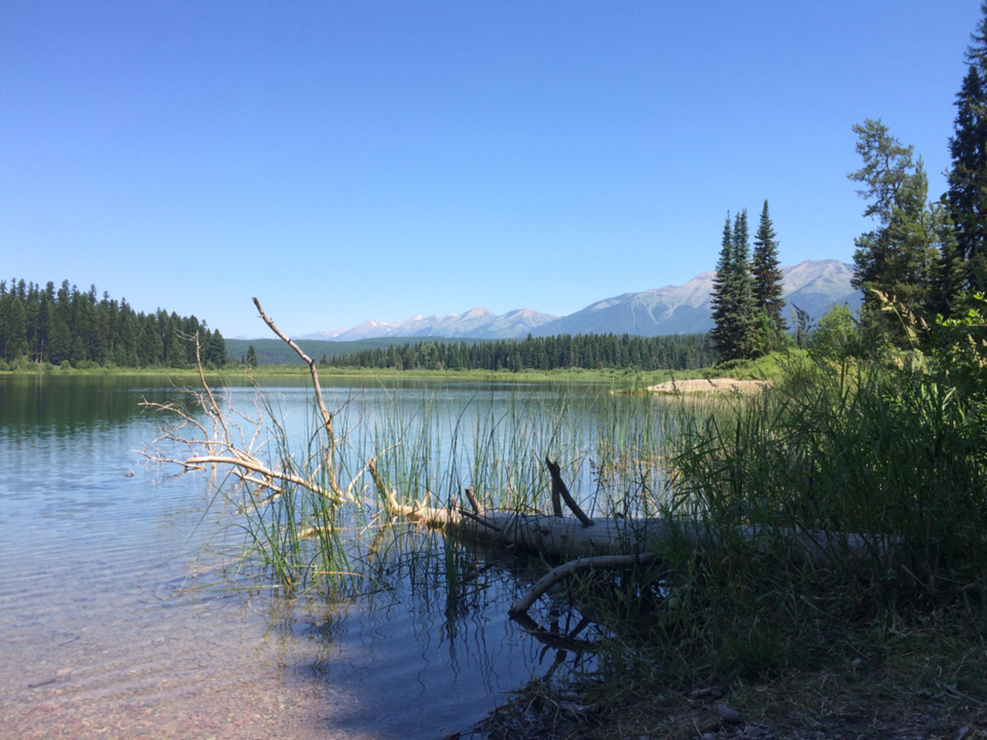 An image depicting the trail Rainy Lake West Trail and its surrounding area.