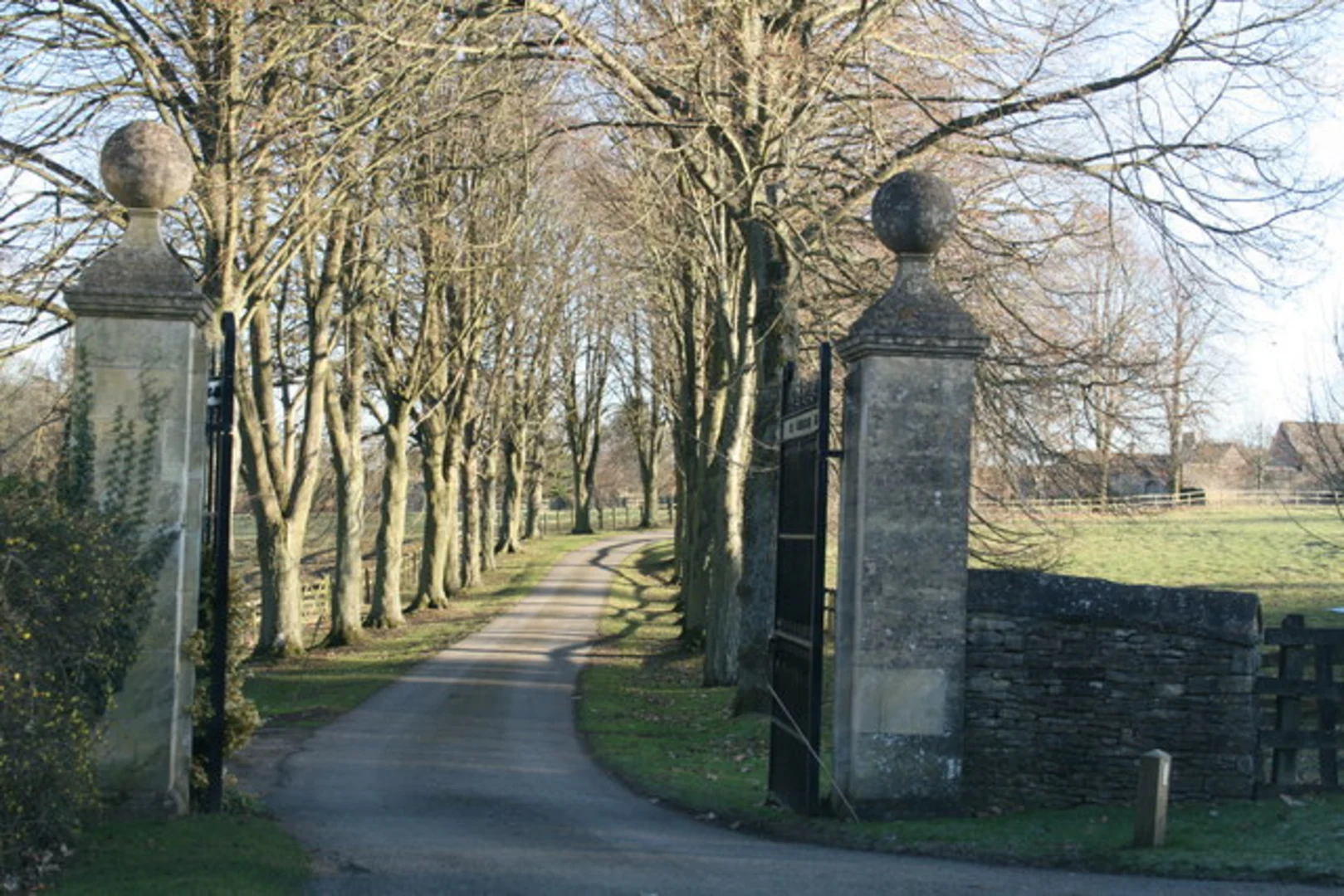 An image depicting the trail Wilcote Loop and its surrounding area.
