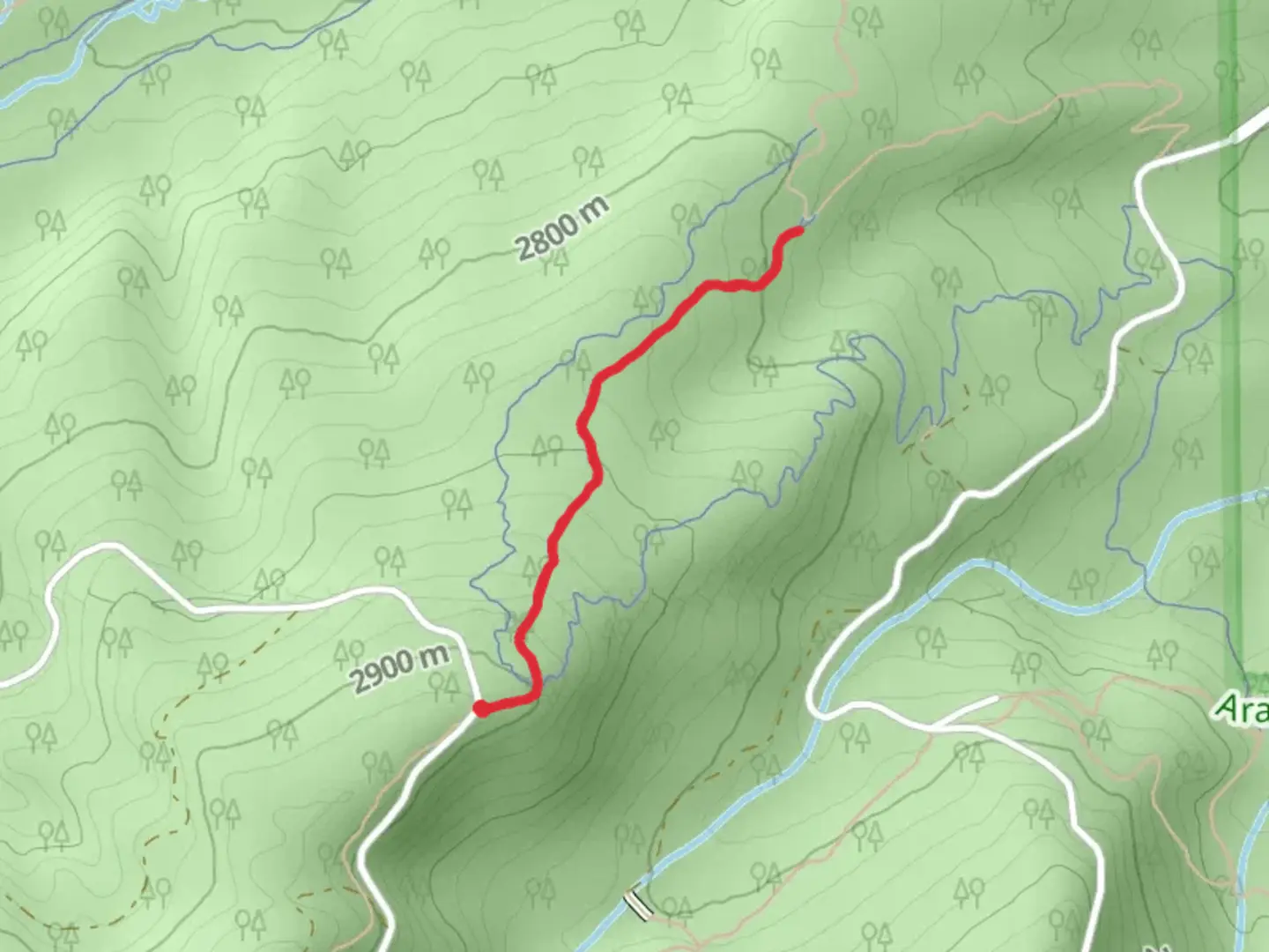 An image depicting the trail Zoom Trail and its surrounding area.