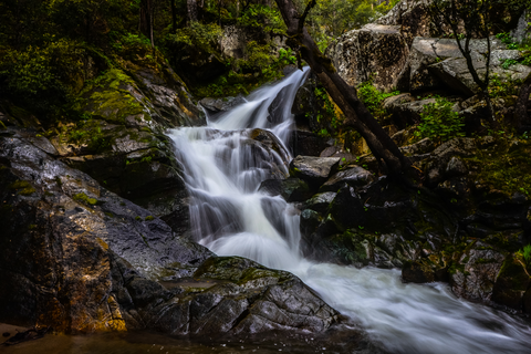 An image depicting the trail Lewis Creek Trail and its surrounding area.