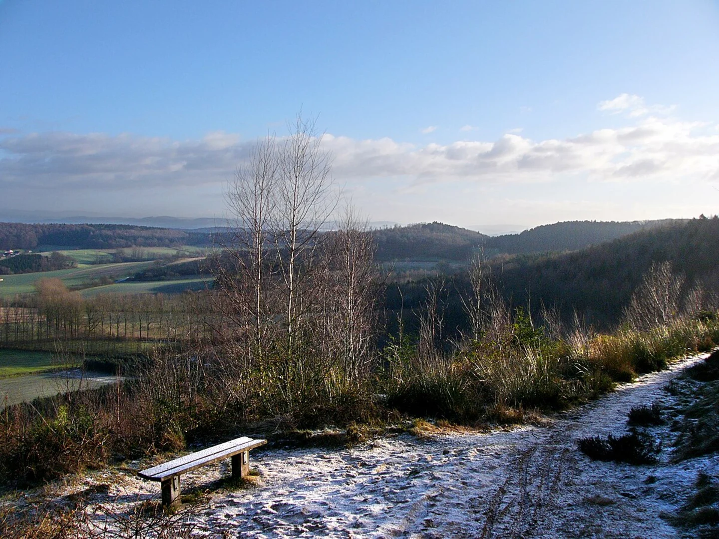 An image depicting the trail Tonsberg, Hunenkapelle and Lonsstein Loop and its surrounding area.