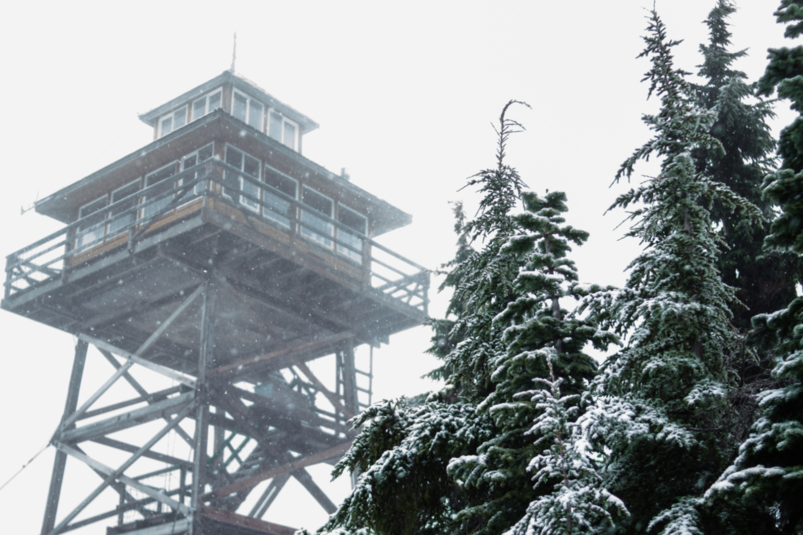 An image depicting the trail Youngs Rock Trail and its surrounding area.