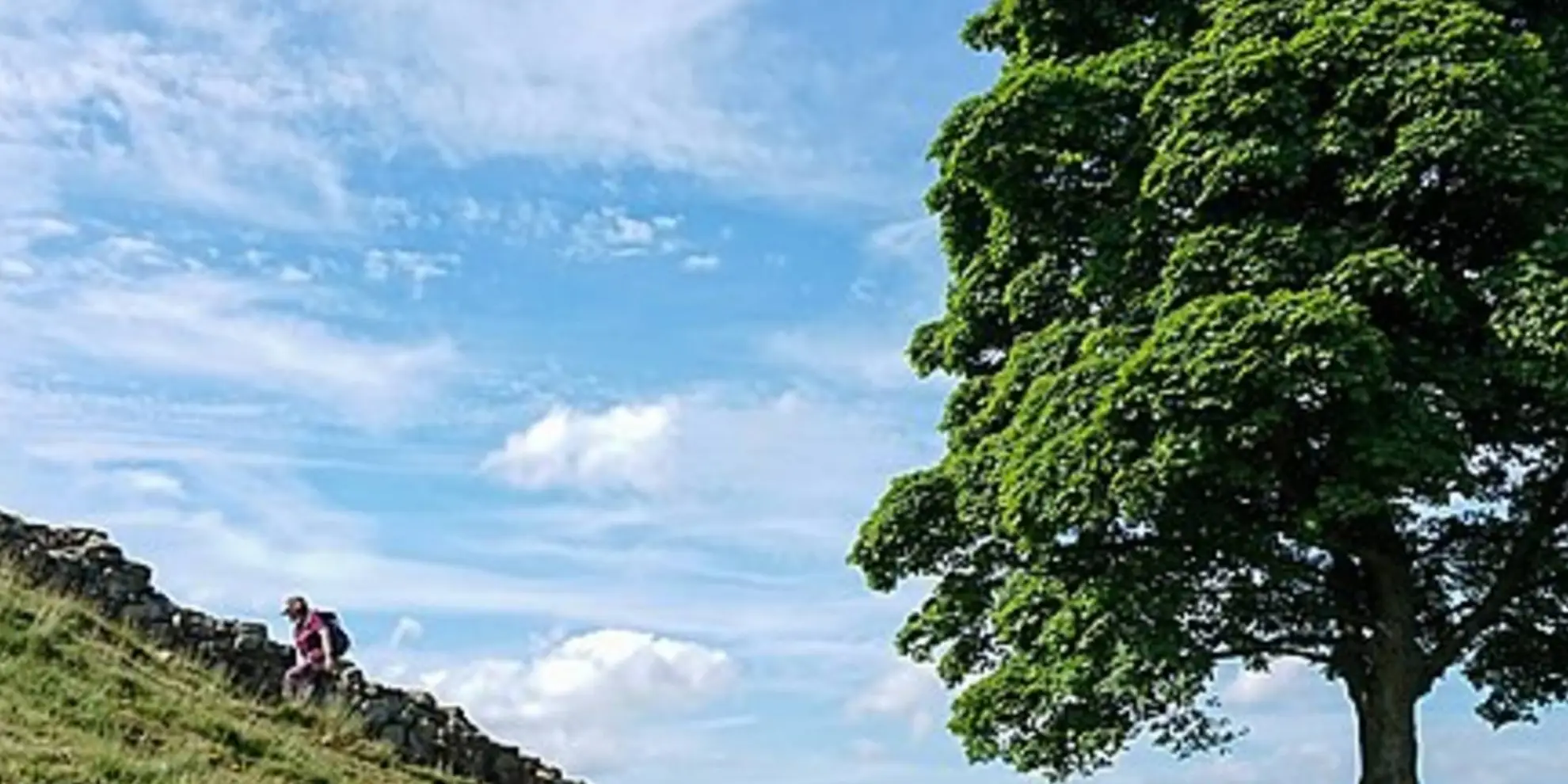 An image depicting the trail Vindolanda and Hadrian's Wall and its surrounding area.