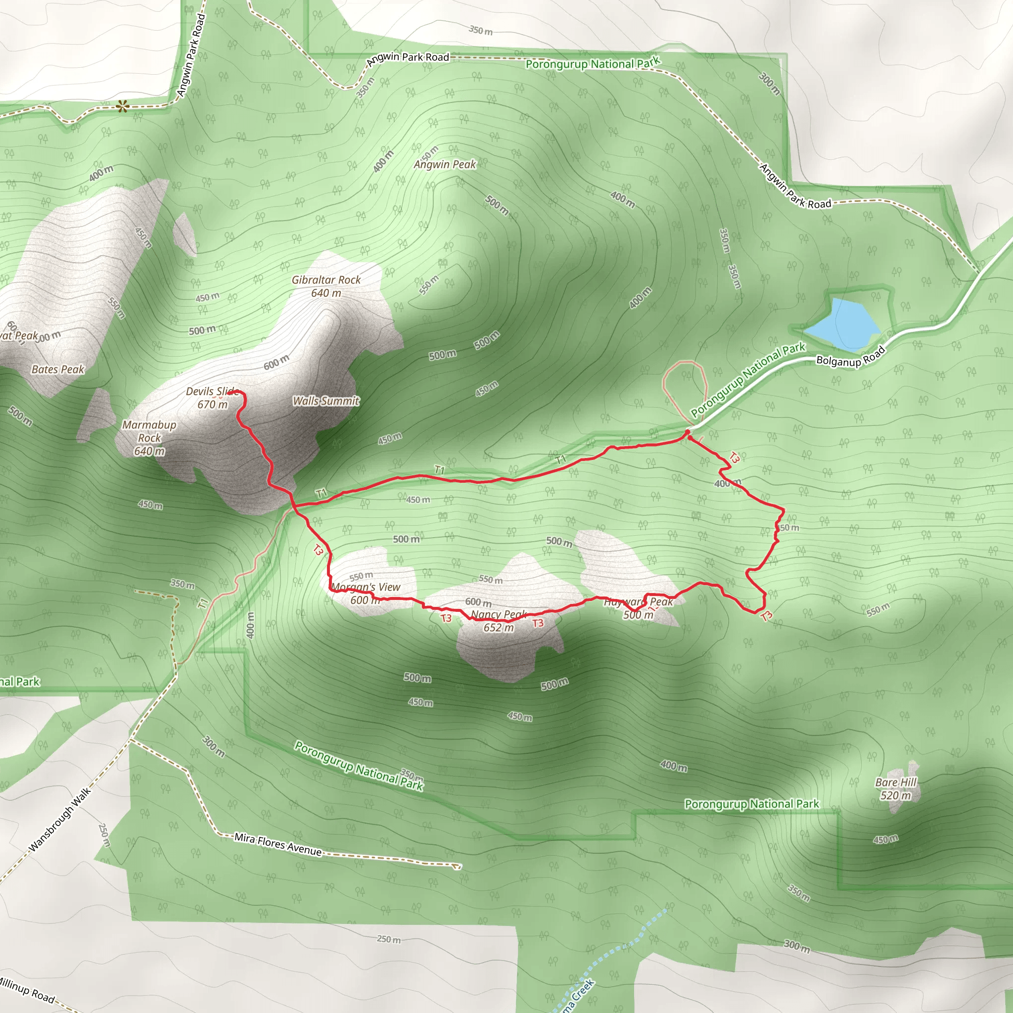 Nancy Peaks Walk mobile static map