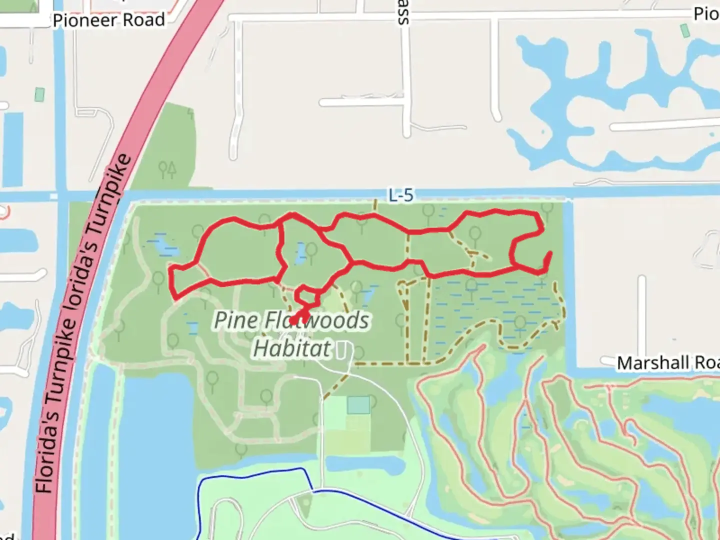 An image depicting the trail Pine Flatwoods Habitat Loop and its surrounding area.