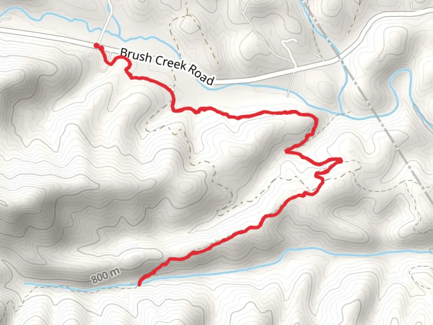 An image depicting the trail Yellow Branch Trail and its surrounding area.