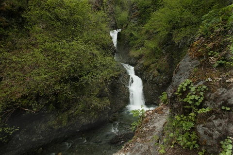 An image depicting the trail Thunderbird Falls Trail and its surrounding area.