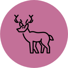 Zhyna Williams avatar