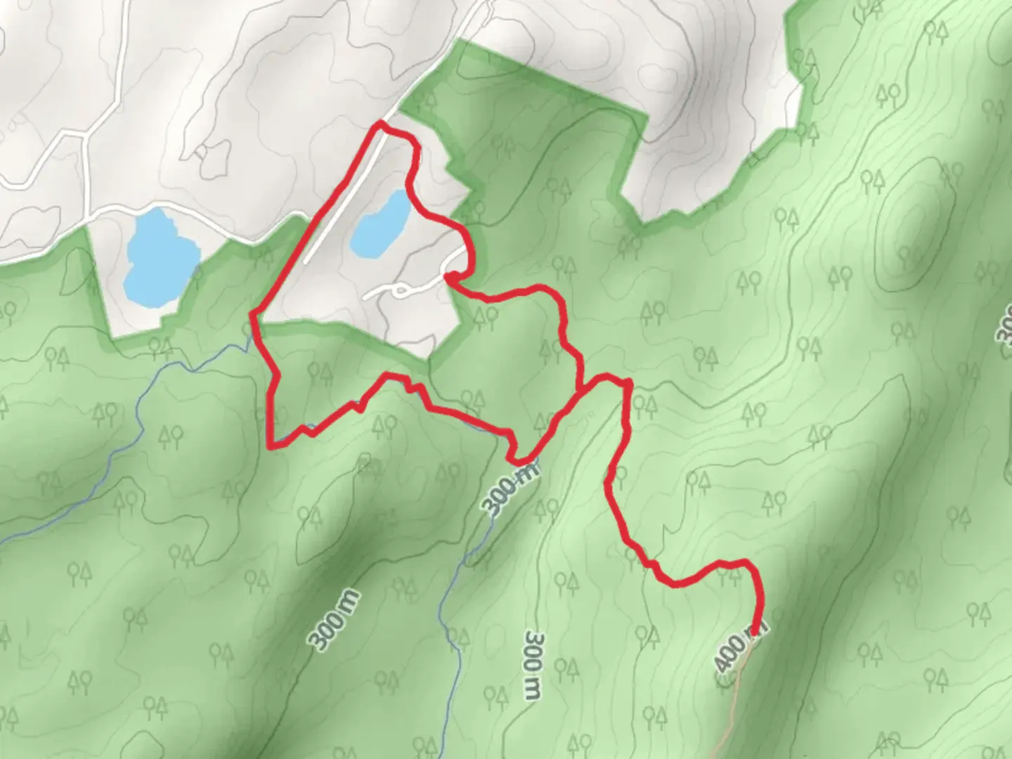 An image depicting the trail Trout Brook Road and Charcoal Burners Trail Loop - Red and its surrounding area.