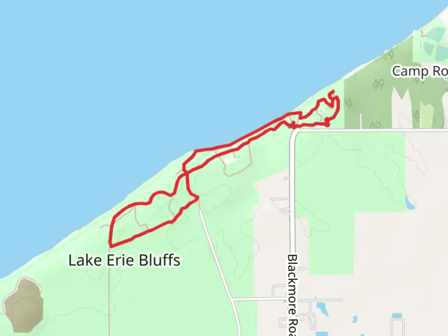 An image depicting the trail Eagle View, Shoreline and Bluff Loop Trail and its surrounding area.