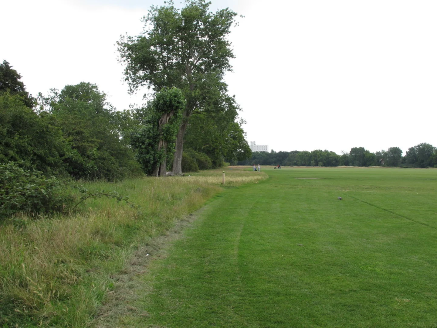 An image depicting the trail Wanstead Flats and Bush Wood Loop and its surrounding area.