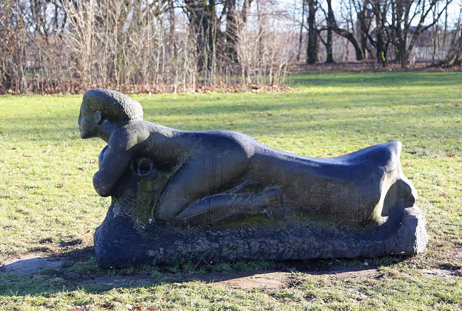 An image depicting the trail Neuhofener Berg Loop and its surrounding area.