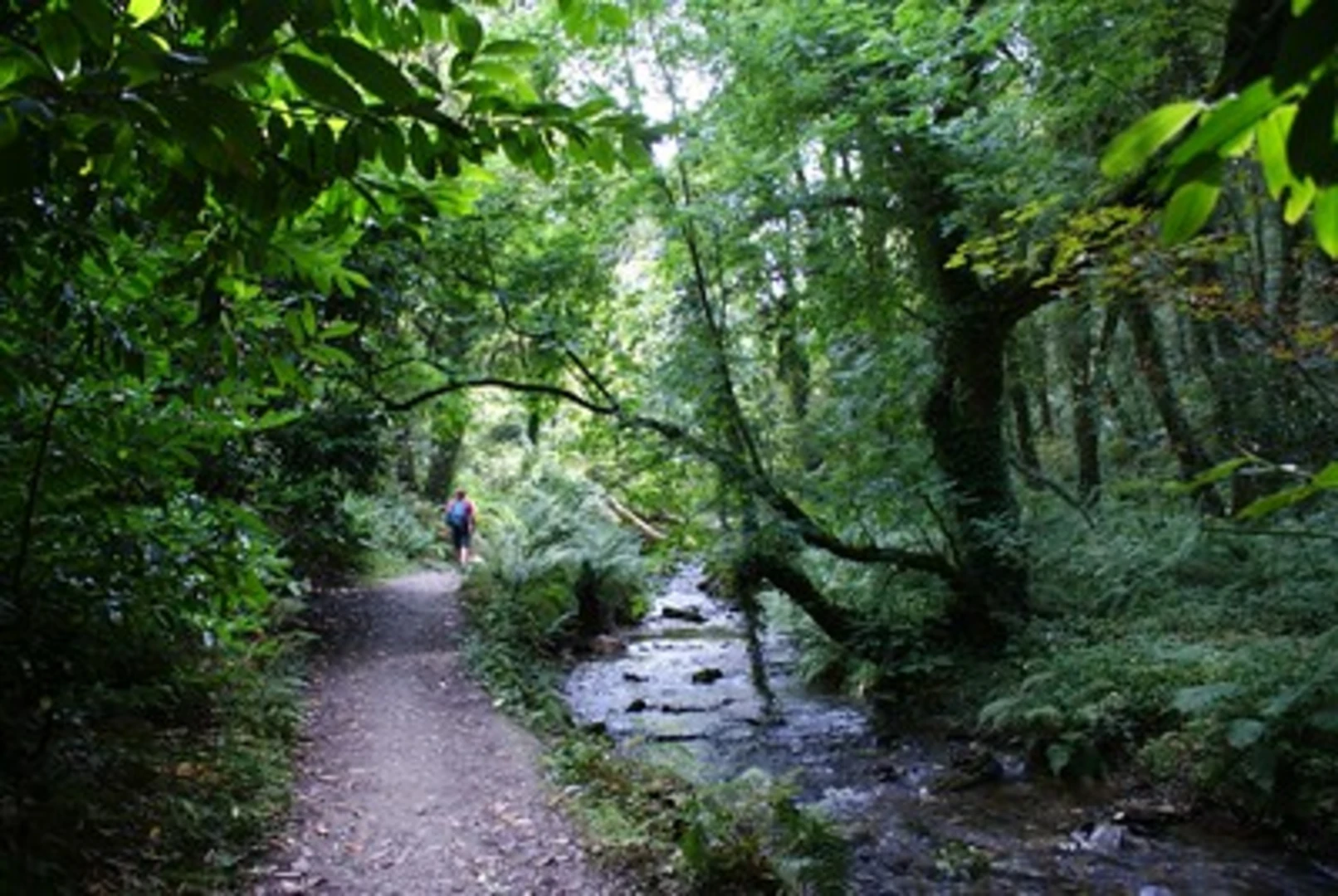 An image depicting the trail Boscastle to Tintagel Loop via Bossiney Cove and its surrounding area.