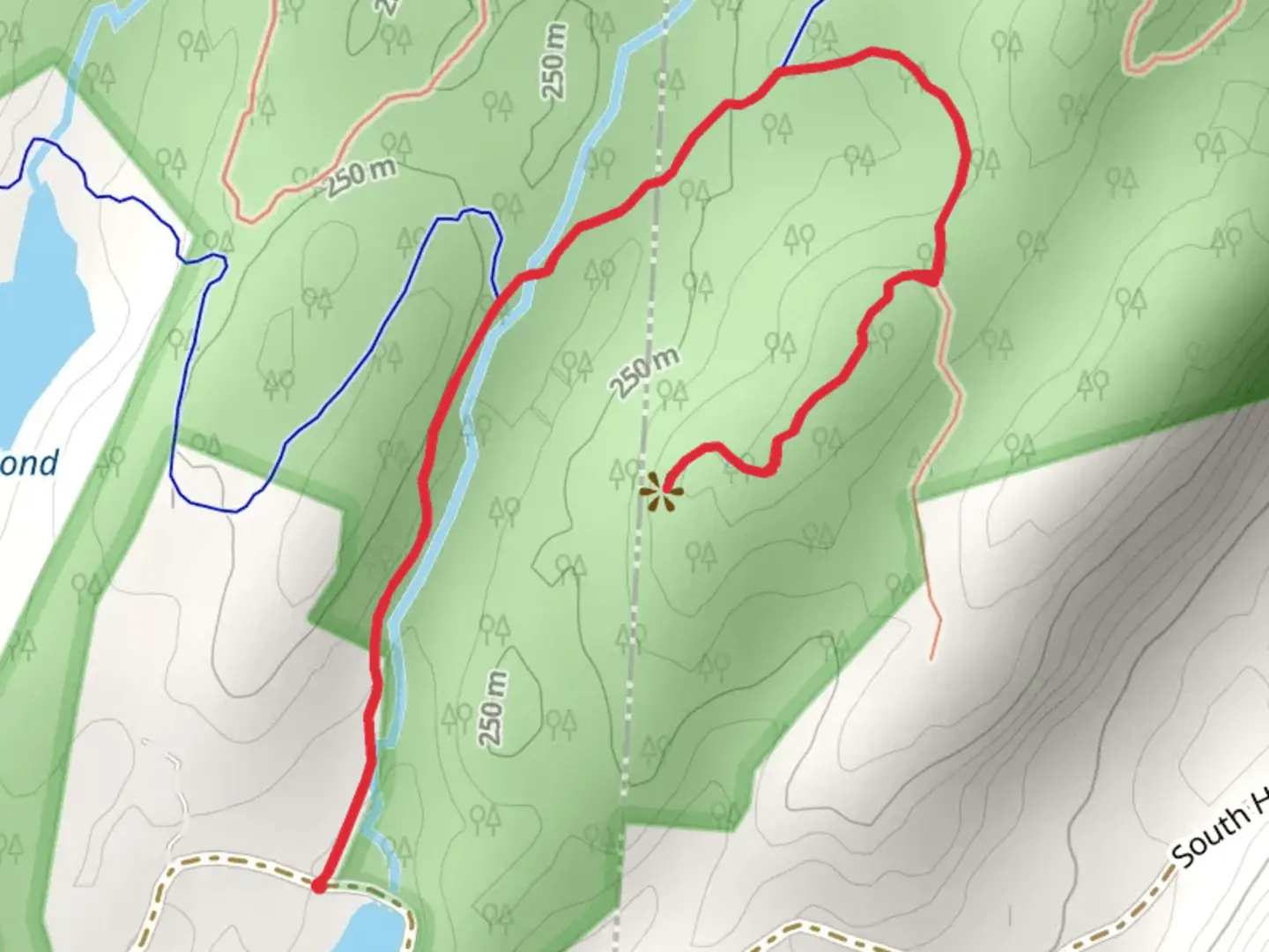 An image depicting the trail Chimney Top Trail and its surrounding area.